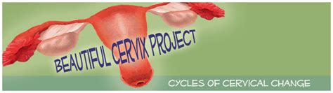 cervix beautiful project|picture of a healthy cervix.